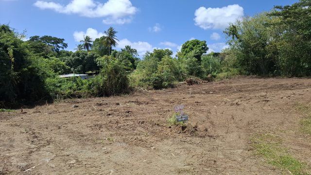 IMG-20250429-WA0040.webp
