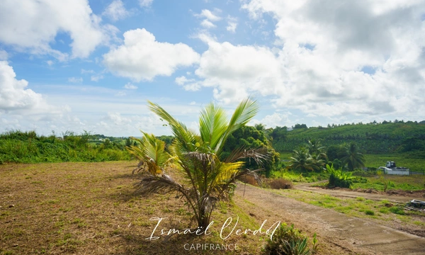 Maison_a_vendre_15_pieces_a_PETIT_BOURG_971_15_thumbnail